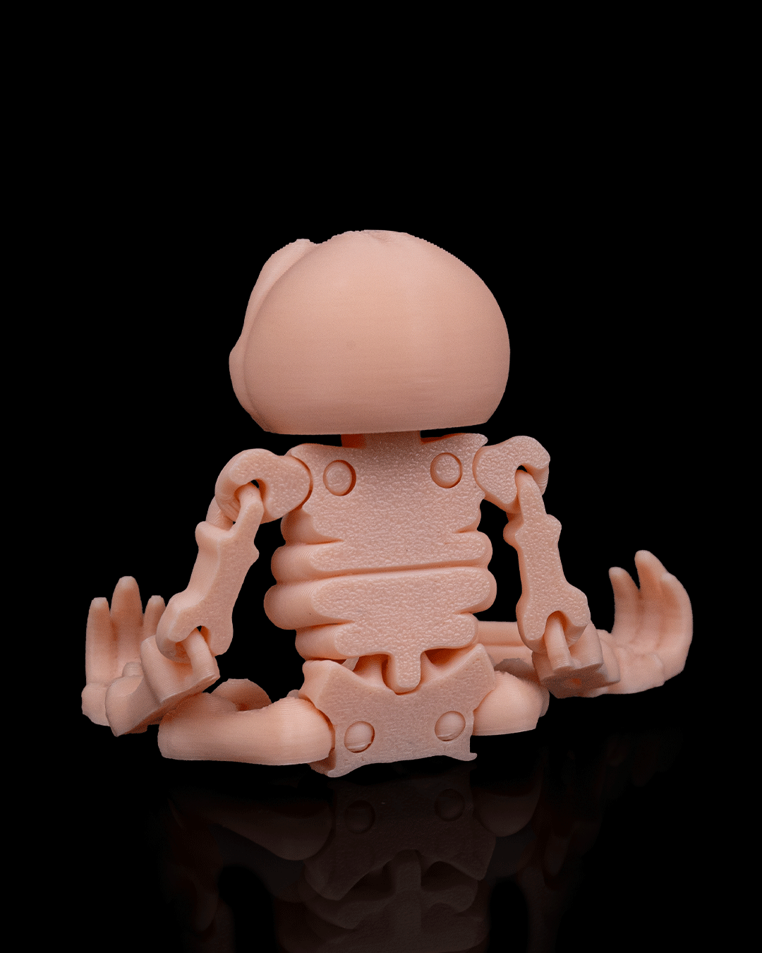 🦥 Bonez Zoo – Skeleton Sloth
