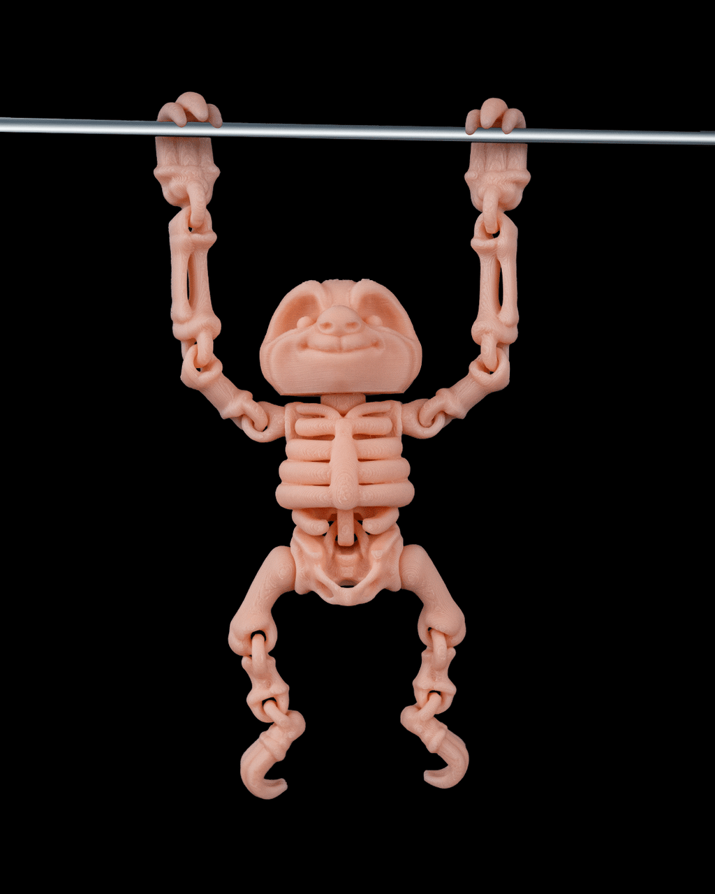 🦥 Bonez Zoo – Skeleton Sloth