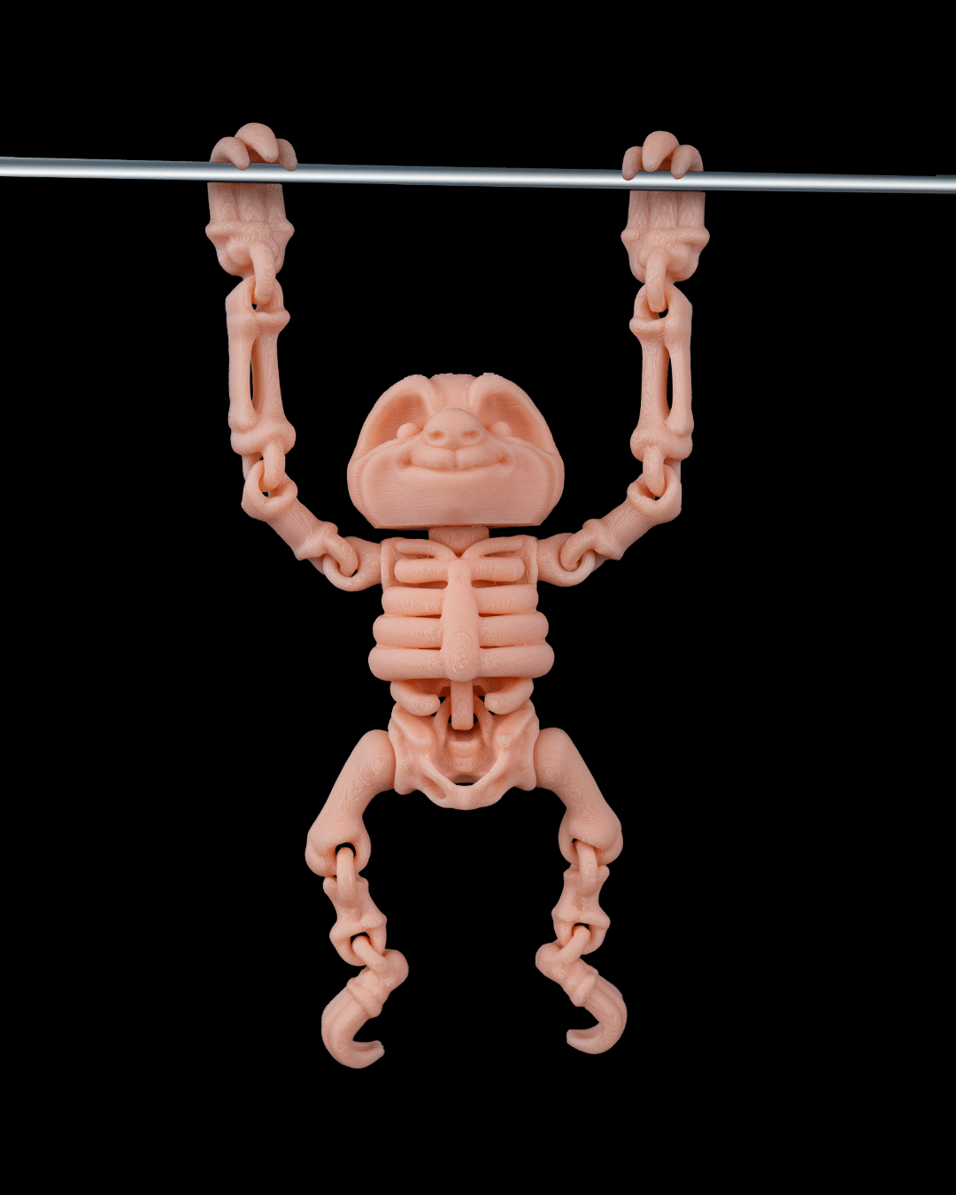 🦥 Bonez Zoo – Skeleton Sloth