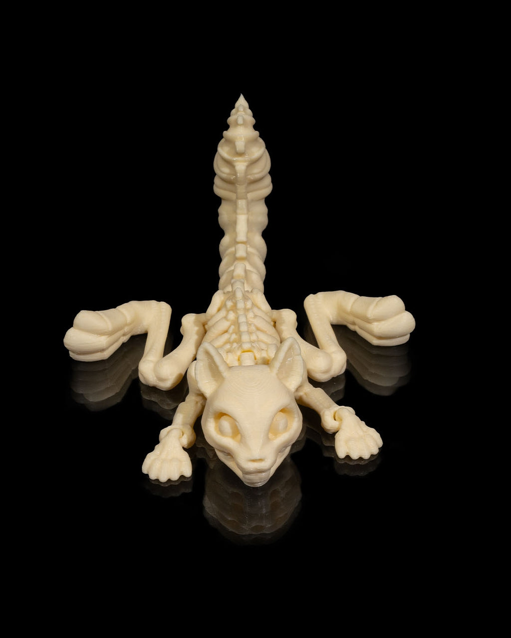🐿️ Bonez Zoo – Skeleton Squirrel