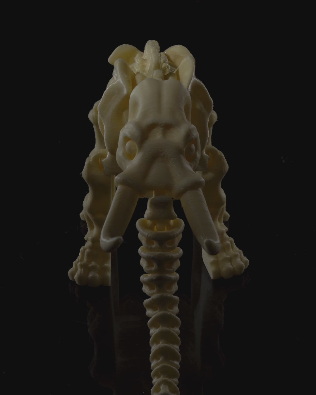 🐘 Bonez Zoo – Skeleton Elephant