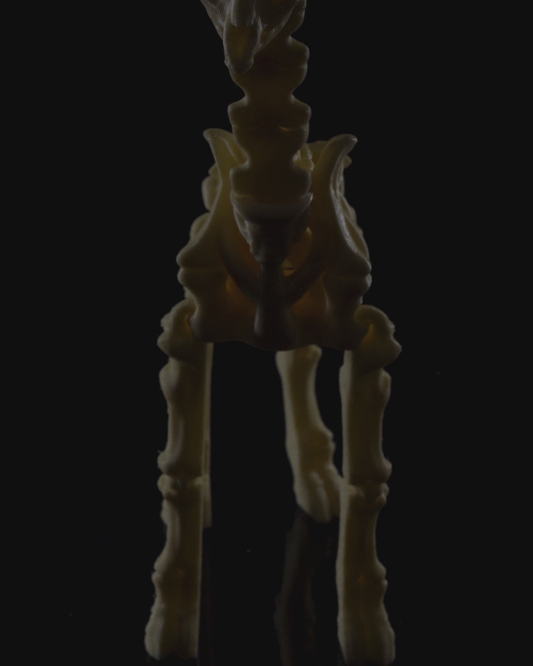🦒 Bonez Zoo – Skeleton Giraffe