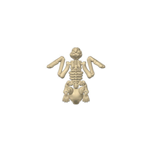 🐰 Bonez Zoo – Skeleton Bunny